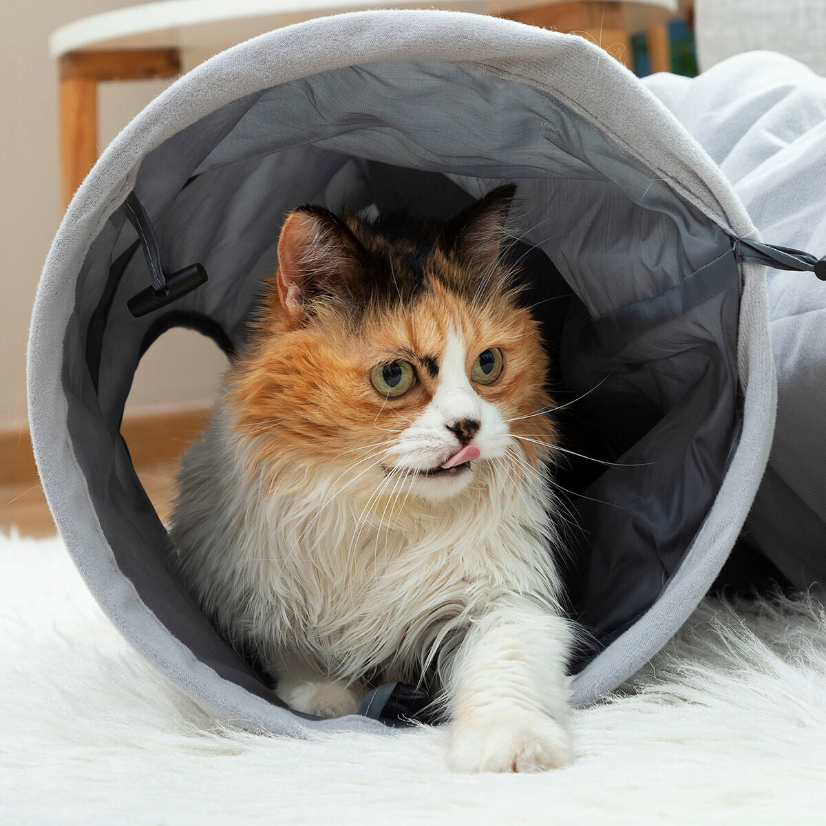 V15H55255FEF48A146F0177DBF9CE0090F51R5276449P7