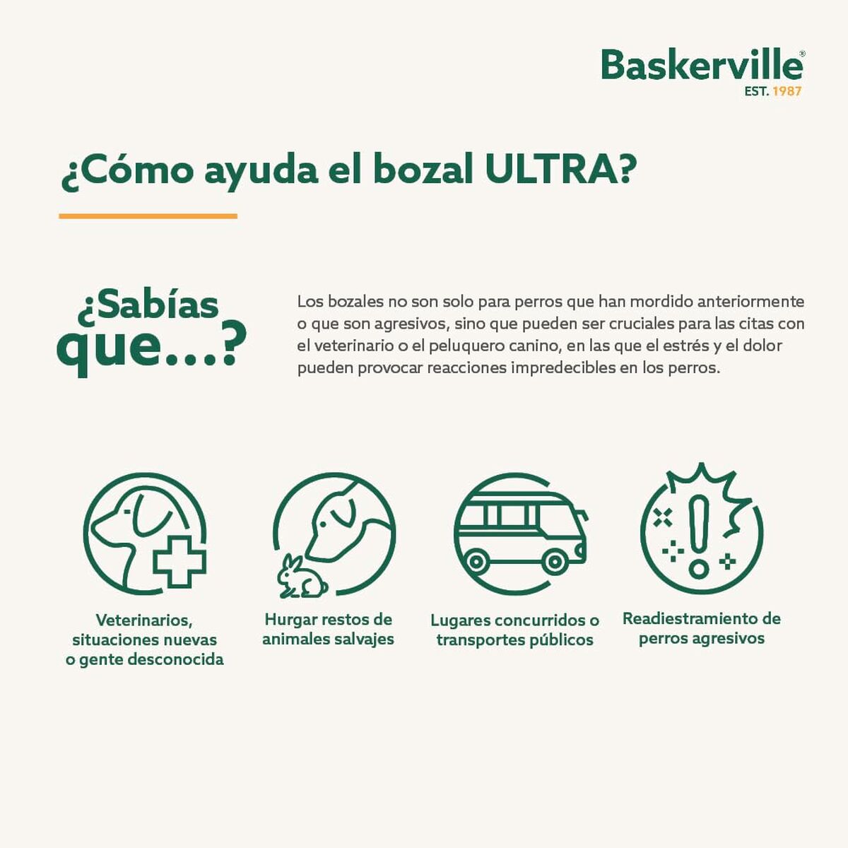 Version 1.0.0 S6104803_2