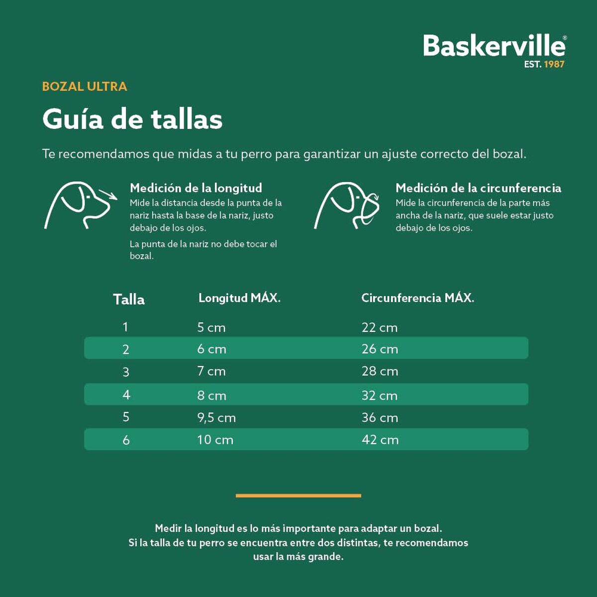 Version 1.0.0 S6104803_4